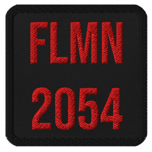 Florida Man 2054. FLMN 2054 title.